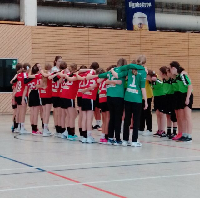 Heimsieg für D-GÖRLS in Bezirksliga