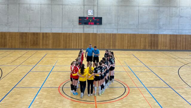 C Mädchen treffen erstmals auf die Wildcats von Halle-Neustadt