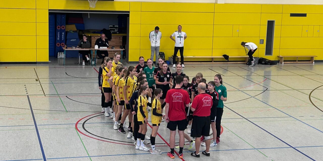 https://handball-goerls.de/wp-content/uploads/2025/12/IMG-20251207-WA0011-1280x640.jpg