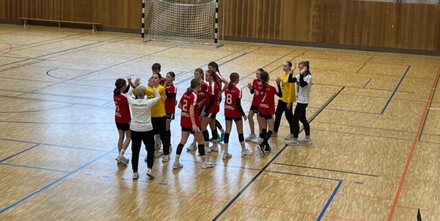 Handballjahr 2025 endet mit vermeidbarer Niederlage