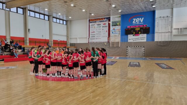 Gegen Zwickau war mehr geplant