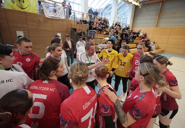 Handball-Görls unterliegen in Halle